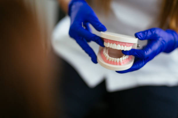 Dental X-Rays and Imaging in Fall City, WA